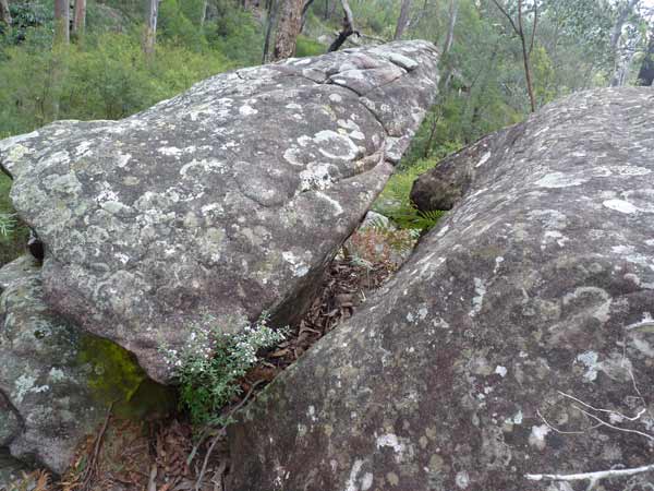 rocks